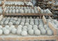 Bolas cerâmicas inertes da torre da reação do gás natural com propriedades térmicas excelentes